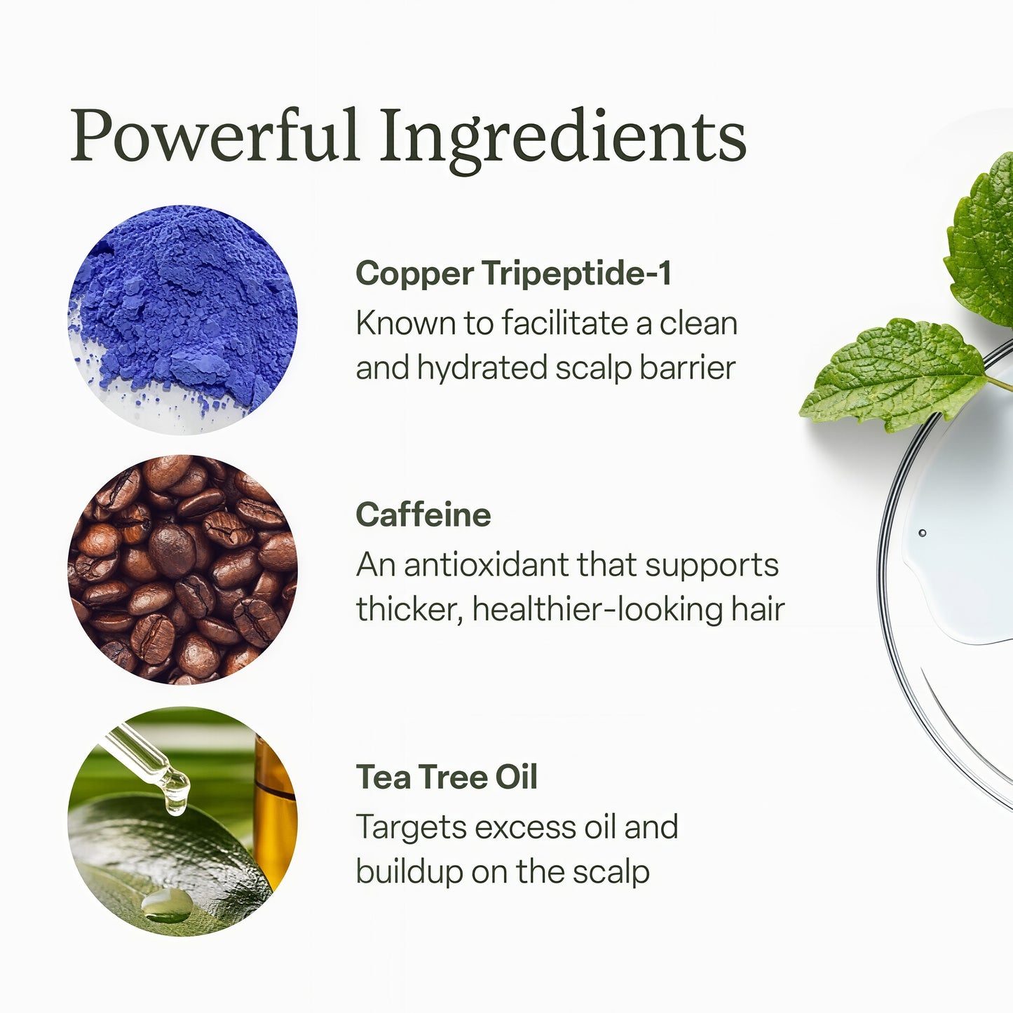 Divi Scalp Serum for Thinning Hair